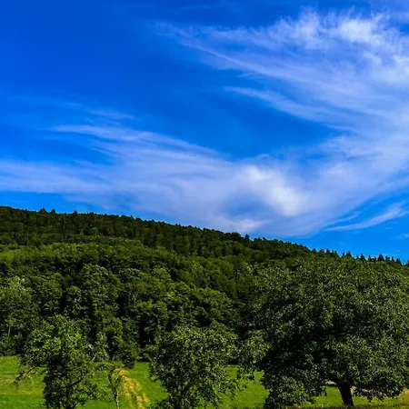 Appartement Le Refuge - De Gamme Masevaux-Niederbruck